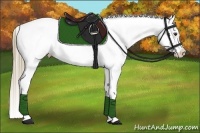 Horse Color:Liver Chestnut Near Leopard 