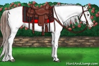 Horse Color:White Spotted Bay Sabino Snowcap