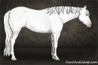 Horse Color:Gray Silver Amber Cream Champagne Roan Dun Splash Tobiano Frame Varnish Rabicano 