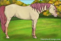 Horse Color:Watercolor Gold Champagne Roan Dun 