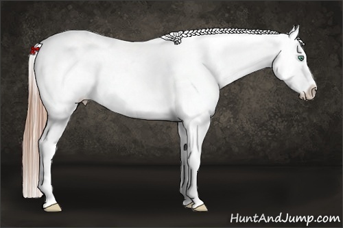 Horse Color:Smoky Black Pearl Snowcap 