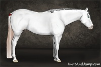 Horse Color:Smoky Black Pearl Appaloosa