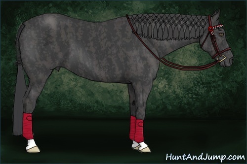Horse Color:Black  Brindle