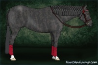 Horse Color:Black  Brindle