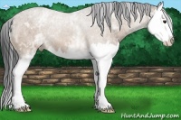 Horse Color:White Spotted Bay Roan Dun Splash