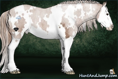 Horse Color:White Spotted Red Roan Splash