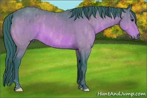 Horse Color:Watercolor Bay  Brindle