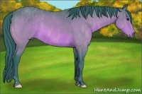 Horse Color:Watercolor Bay  Brindle