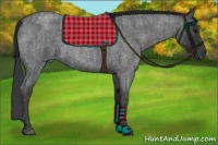 Horse Color:Blue Roan Brindle