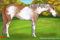 Horse Color:White Spotted Chestnut Sabino Frame