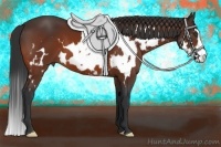 Horse Color:White Spotted Bay Sabino Frame