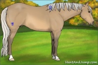 Horse Color:Silver Buckskin 