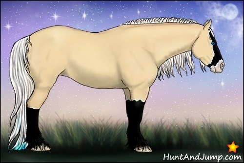Horse Color:Silver Classic Champagne Dun Splash