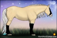 Horse Color:Silver Classic Champagne Dun Splash 