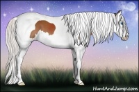 Horse Color:Silver Bay Sabino Splash Tobiano