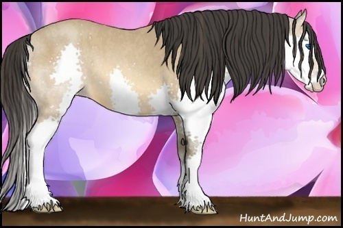 Horse Color:Amber Champagne Splash  Brindle