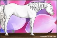 Horse Color:Silver Brown Splash Blanket 