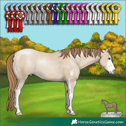Horse Color:Grullo Pearl Sabino 