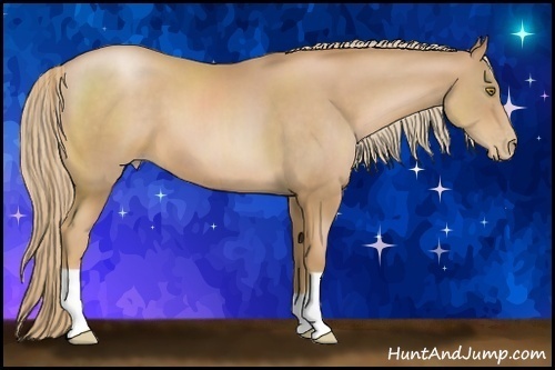 Horse Color:Chestnut Pearl 