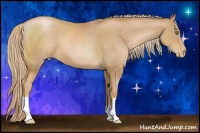 Horse Color:Chestnut Pearl