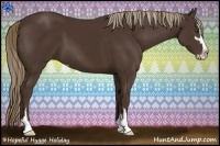 Horse Color:Liver Chestnut Sabino