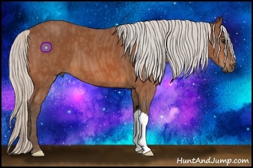 Horse Color:Silver Bay  Brindle