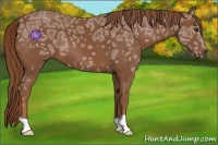 Horse Color:Chestnut Ice 