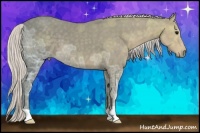 Horse Color:Silver Smoky Black Ice 