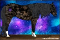Horse Color:Bay Ice Dun