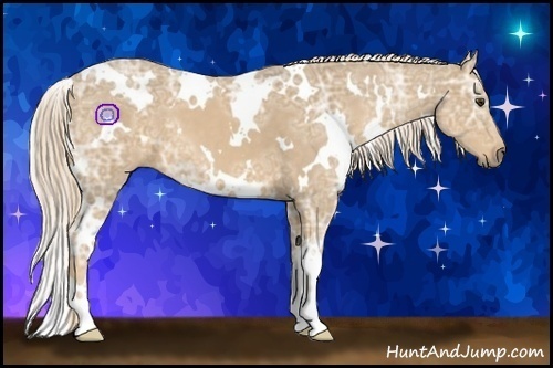 Horse Color:White Spotted Palomino Ice 