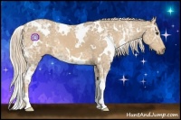 Horse Color:White Spotted Palomino Ice 