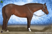 Horse Color:Liver Chestnut Frame 