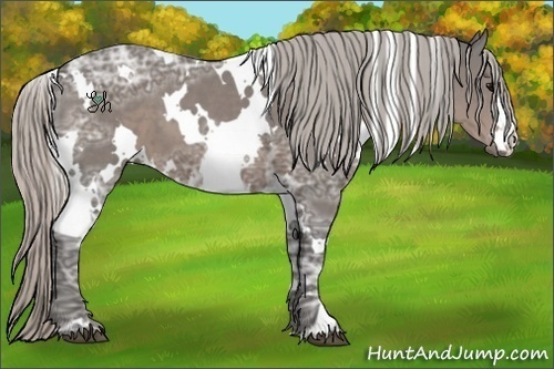 Horse Color:White Spotted Silver Black Ice 