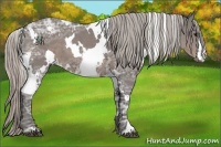 Horse Color:White Spotted Silver Black Ice
