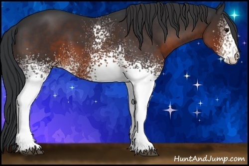 Horse Color:White Spotted Brown