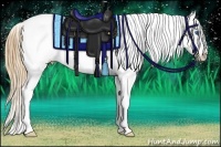 Horse Color:Gold Champagne Ice Pearl Splash Appaloosa