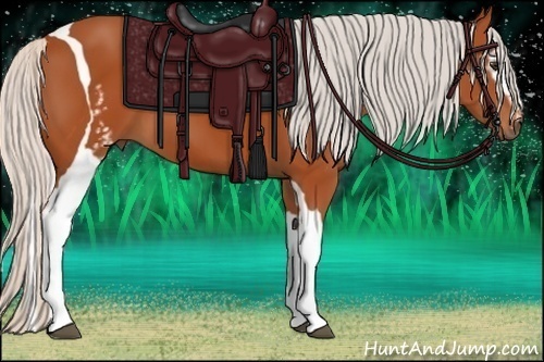 Horse Color:White Spotted Silver Bay Tobiano