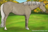 Horse Color:Silver Smoky Black Rabicano 