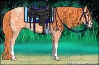 Horse Color:Watercolor Liver Chestnut Ice Sabino 