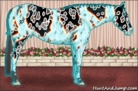 Horse Color:Thunderstruck Brown Roan Near Leopard Rabicano