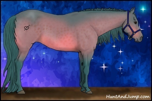 Horse Color:Watercolor Bay 