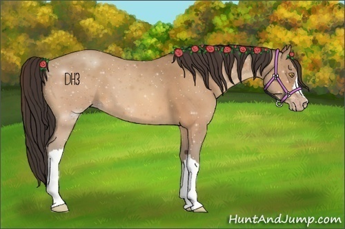 Horse Color:Amber Champagne 