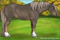 Horse Color:Chocolate Palomino 