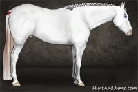 Horse Color:Sable Champagne Splash Appaloosa 