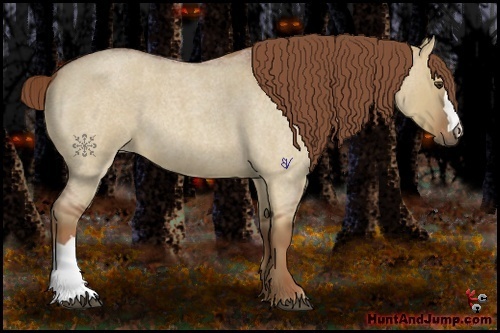 Horse Color:Red Dun Roan 