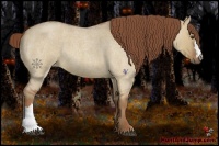Horse Color:Red Dun Roan