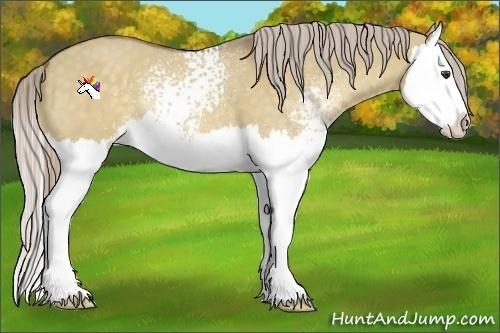Horse Color:White Spotted Chocolate Palomino Dun Splash 
