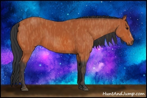 Horse Color:Bay  Brindle