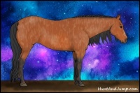 Horse Color:Bay  Brindle