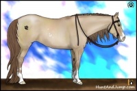 Horse Color:Grullo Pearl Sabino 